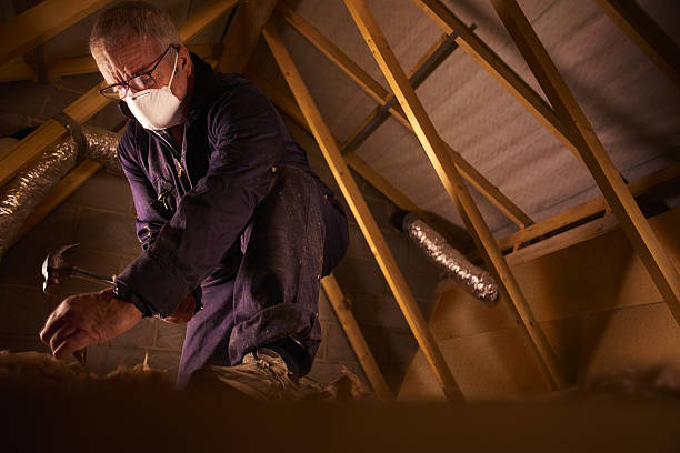 Best Eco-Friendly Insulation in Seaside Heights, NJ